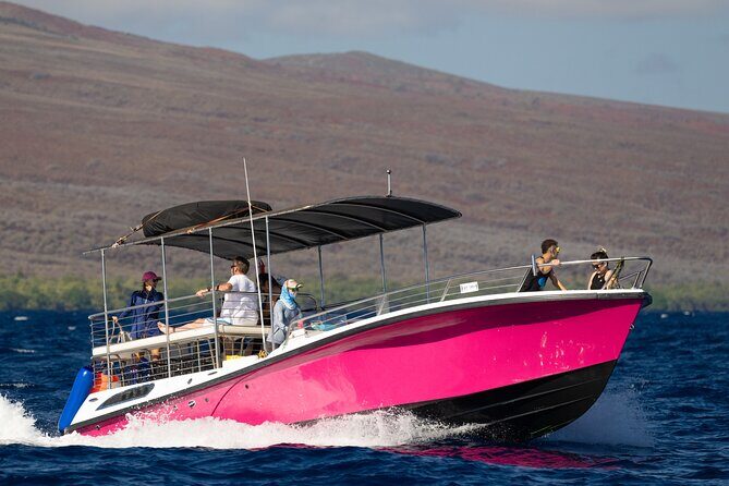 2 Hour Afternoon Lahaina Whale Watch - Final Thoughts