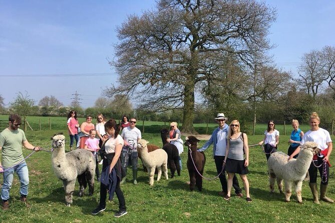 2-Hour Alpaca Farm Experience in Kenilworth - Who Would Enjoy This Experience?