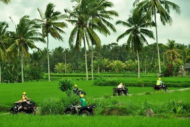 2 hour Bali ATV Ride Ubud waterfall jungle and rice fild track - Key Points