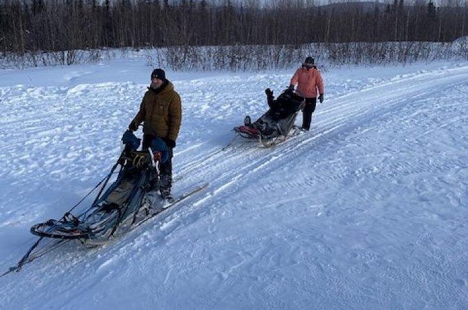 2-Hour Basic Dog Mushing School (with Transportation) - The Sum Up: Is It Worth It?