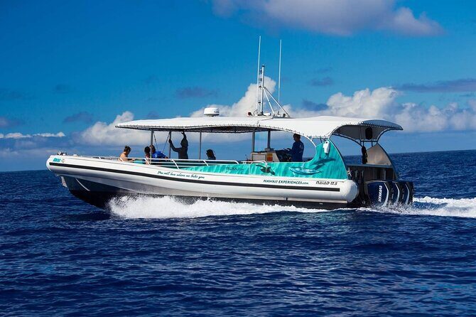 2 Hour Big Island Dolphin Watching and Sea Turtle Snorkel Tour - Key Points