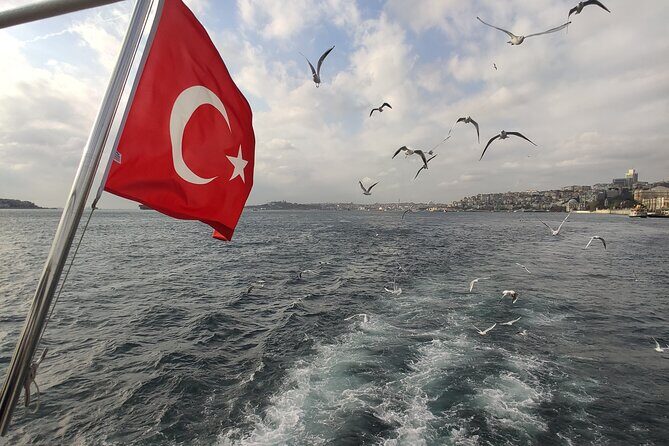 2-Hour Bosphorus Cruise in Istanbul with Guide - The Value of Guided Insight