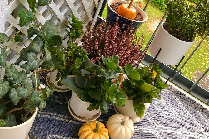 2-Hour Breakfast Experience in a Home from Warsaw - The Food: More Than Just a Meal