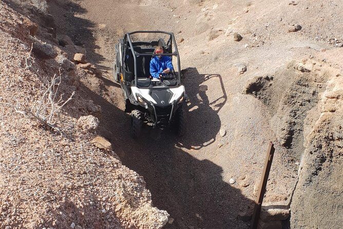2-hour Buggy Tour from Costa Teguise - Who Should Book This Tour?