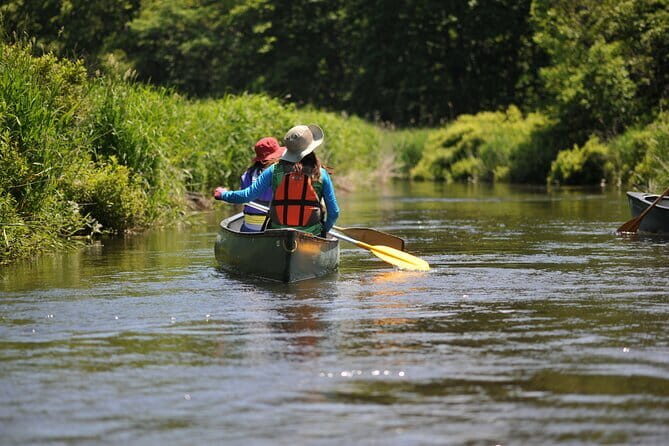 2 Hour Canoe on the Bibi River - What You Can Expect from the Canoe on the Bibi River Tour