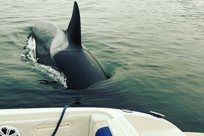 2 Hour Chartered Boat Tour from Deep Cove North Vancouver - Practical Details and Booking