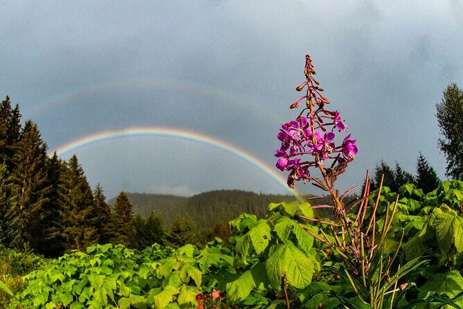 2 Hour Chichagof Island Guided Driving Tour - Who Should Take This Tour?