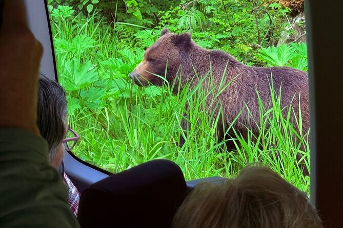 2 Hour Chichagof Island Guided Driving Tour - Frequently Asked Questions