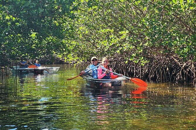 2-Hour Clear Kayak Mangrove Eco Tours, St Pete - Key Points