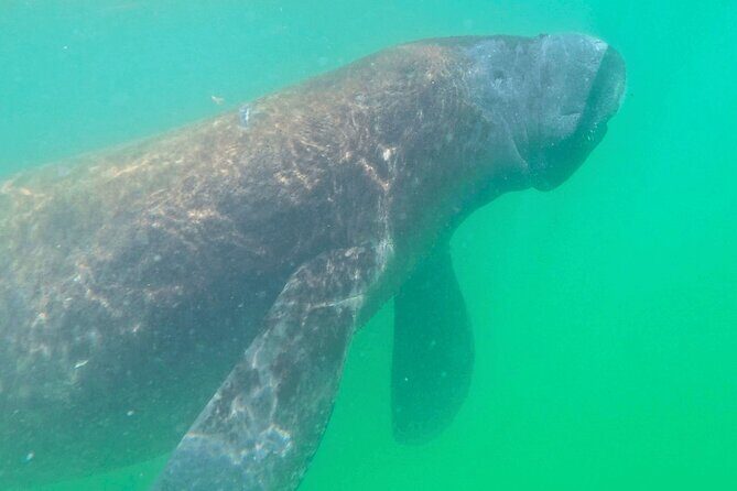 2-Hour Clear Kayak Mangrove Eco Tours, St Pete - Who Will Love This Tour?