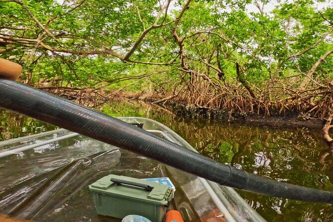 2 Hour Clear Kayak Tour at Emerson Point Preserve - Group Size and Booking
