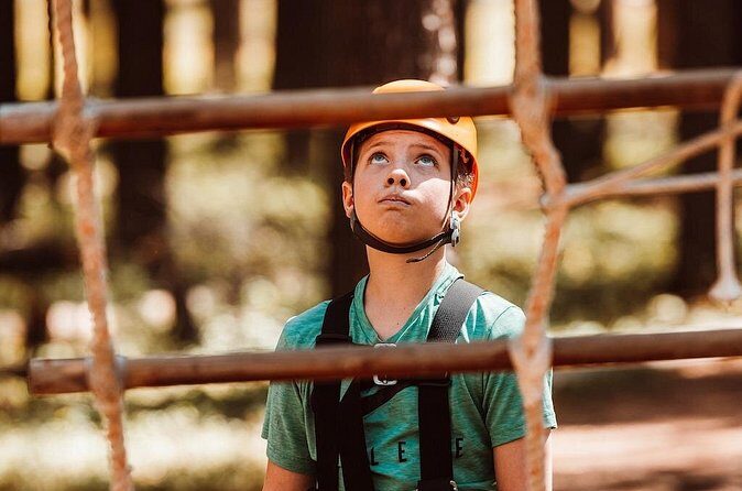 2 Hour Cypress Hills Zipline Afternoon Adventure - The Sum Up
