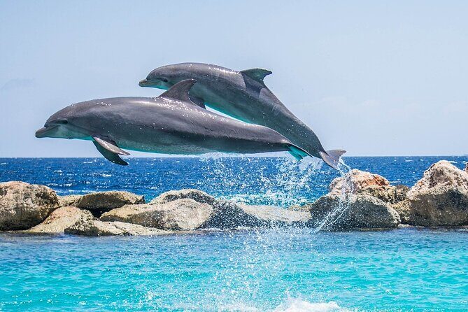 2-Hour Dolphin Sunset Tour from Giardini Naxos - Who Will Love This Experience?
