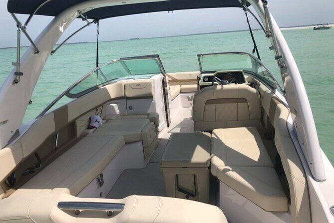 2 hour Dolphin Tours - Authentic Experiences Backed by Happy Travelers