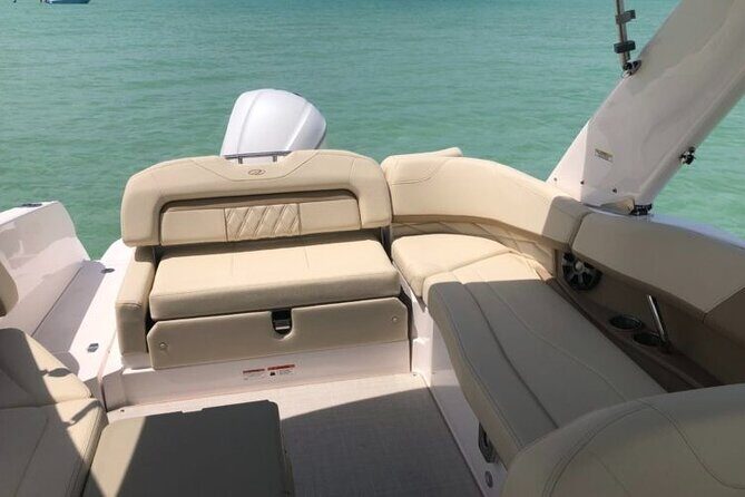 2 hour Dolphin Tours - How the Experience Feels and Why It Matters