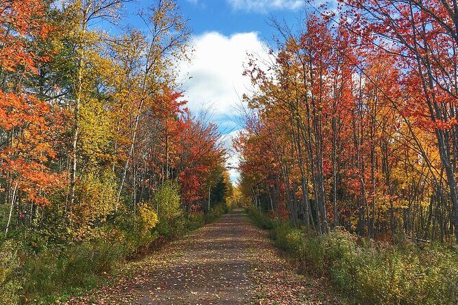 2 Hour E-Bike Tour of Charlottetown - Key Points
