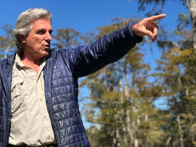 2-hour Eco-Swamp Tour - Price, Value, and Practicalities