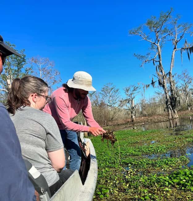 2-hour Eco-Swamp Tour - The Sum Up