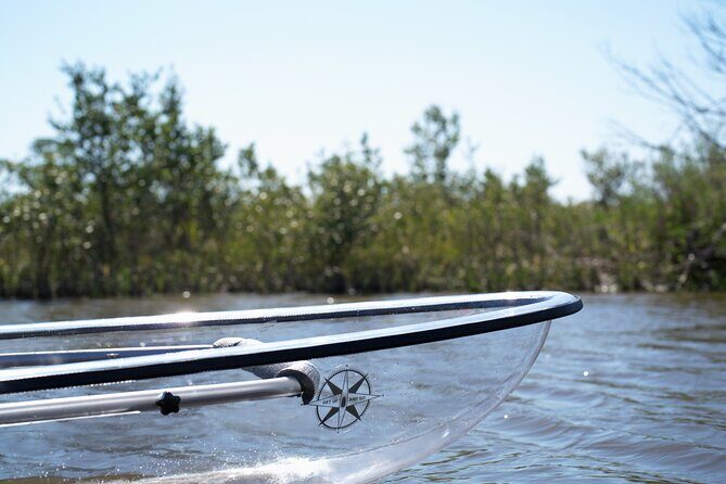 2-Hour Glass Bottom Guided Eco Tour in Flagler County-Small-group - The value of this tour