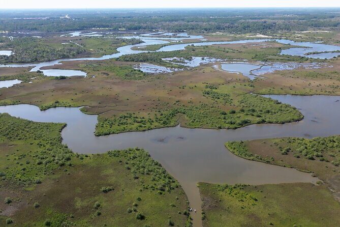 2-Hour Glass Bottom Guided Eco Tour in Flagler County-Small-group - Final thoughts: is this eco kayak tour worth it?