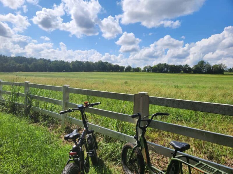 2 hour Guided E-bike Tour: Greenery, Scenery & Mindfulness - The Itinerary and Trail Highlights