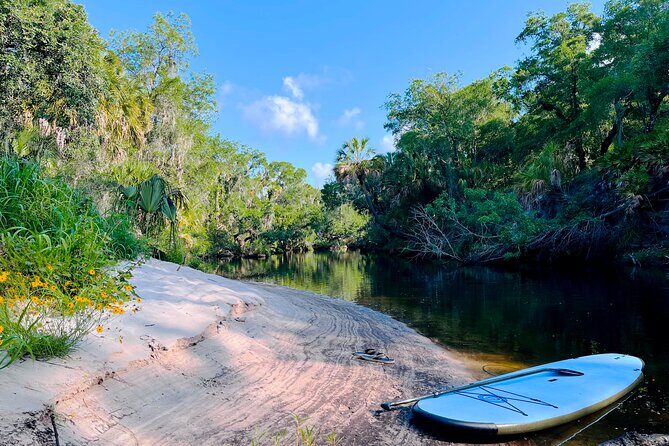 2 Hour Guided Stand Up Paddle Board Tour along Upper Manatee River - What to Expect from the Paddleboard Tour