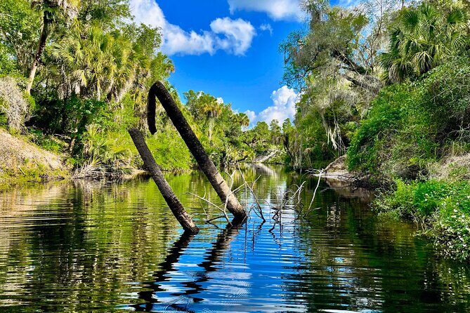 2 Hour Guided Stand Up Paddle Board Tour along Upper Manatee River - The Guide and Group Experience