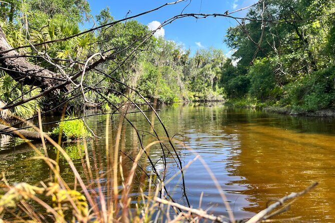 2 Hour Guided Stand Up Paddle Board Tour along Upper Manatee River - Pricing and Value