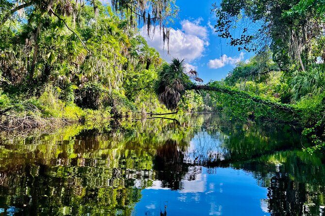 2 Hour Guided Stand Up Paddle Board Tour along Upper Manatee River - FAQ