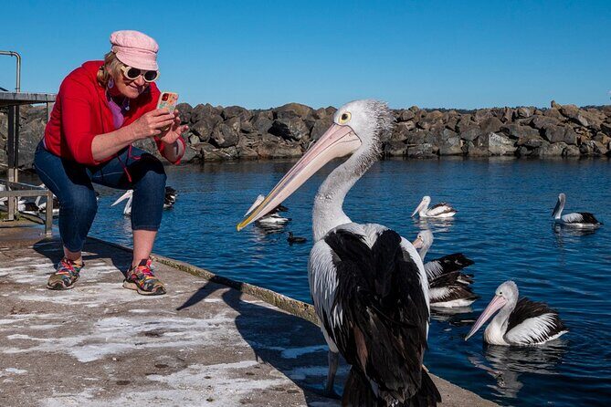 2 Hour Highlights of Eden Tour - Exploring Eden in Depth