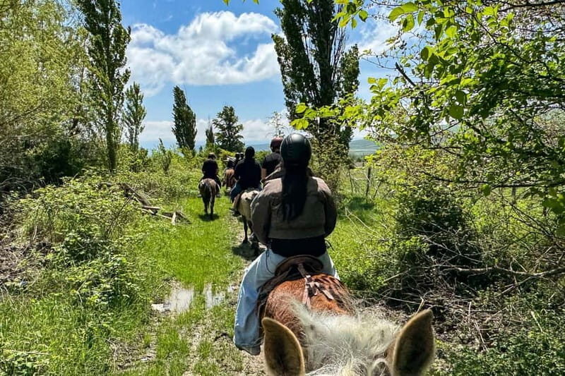 2-hour horse riding tour at Palomino Ranch Near Tbilisi - A 2-hour horseback riding adventure at Palomino Ranch near Tbilisi