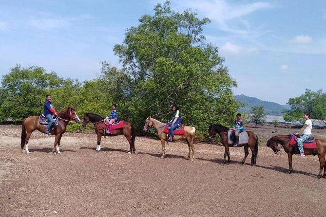 2 Hour Horse Riding Tour On The Beach Krabi - Final Thoughts