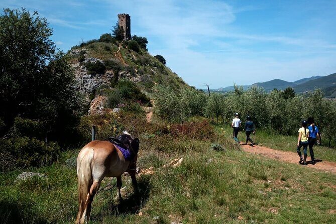 2 hour horseback ride for experts in Valgraziosa (Pisa) - The Sum Up