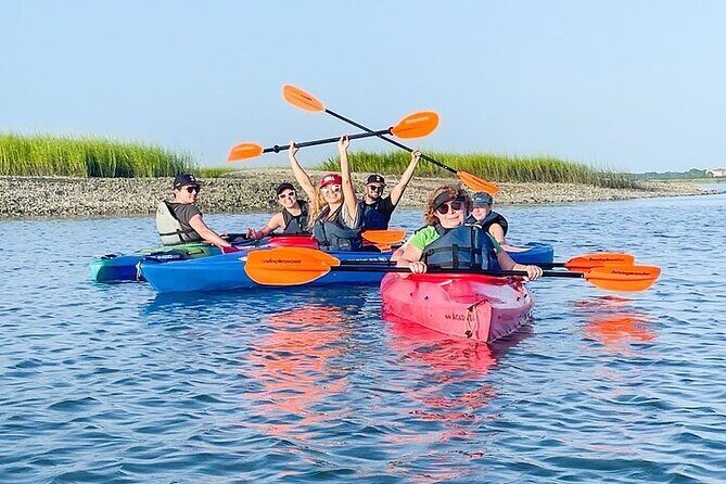 2 Hour Kayak Hilton Head Dolphin and Nature Tour - Who will love this tour?