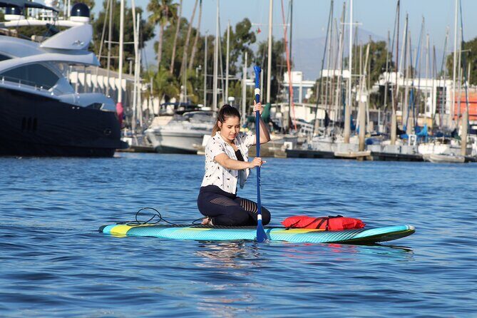 2-Hour Kayak or Paddleboard with Sea Lions in Marina del Rey - Key Points