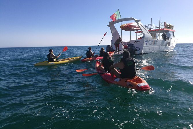 2-hour Kayak Tour of Ponta da Piedade Caves and Beaches - The Value of This Kayak Tour