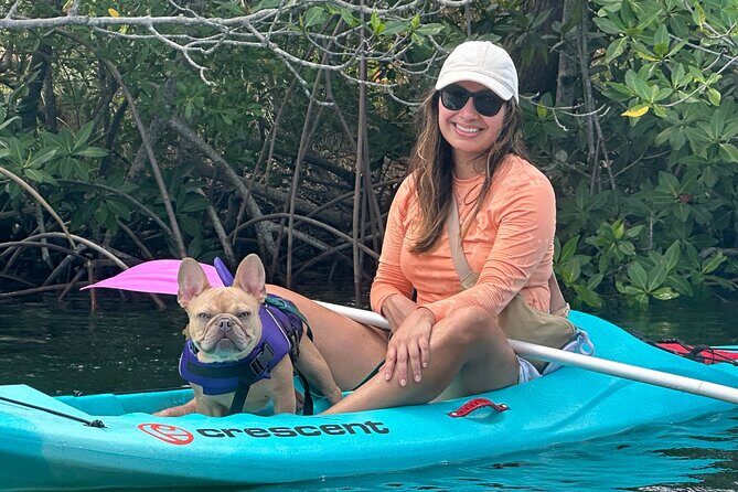 2 Hour Key West Kayak Rental  Discover Mangroves & Wildlife! - The Experience: A Practical Breakdown