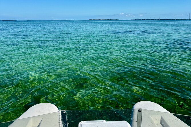 2 Hour Key West Mini Catamaran Eco Tour - The Sum Up: Is the 2 Hour Key West Mini Catamaran Eco Tour Worth It?