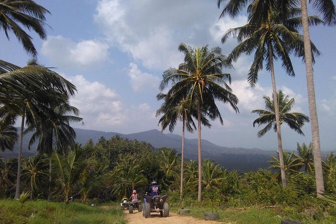 2-Hour Koh Samui ATV Quad Tour - Key Points