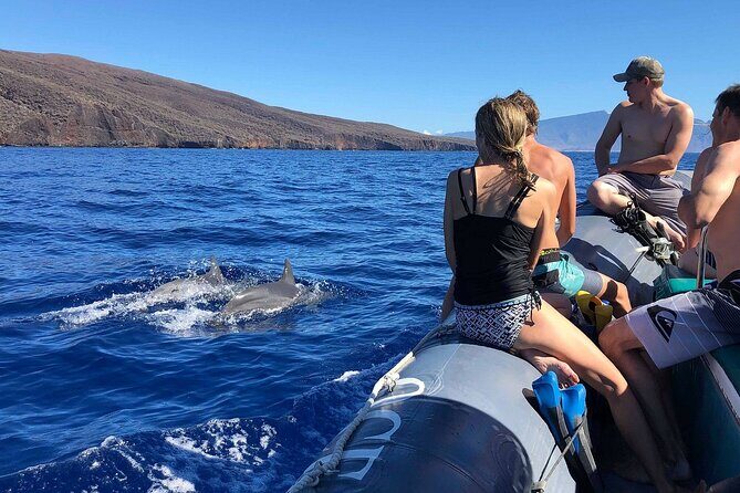 2 Hour Maui Dolphin Watch Sightsee Raft Tour (Semi-Private) - The Sum Up: Is This Maui Dolphin Watch Tour for You?