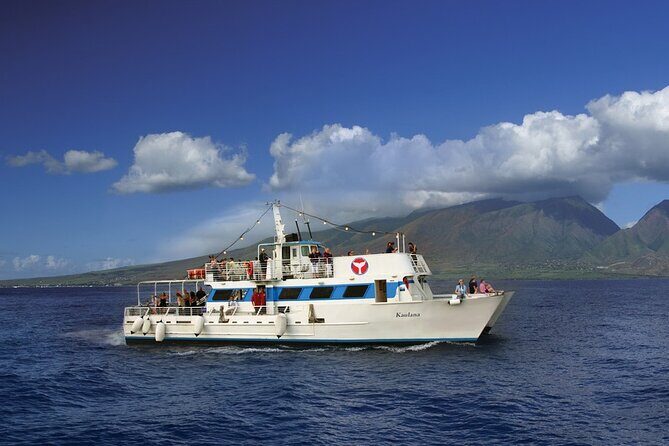 2-Hour Maui Whale Watch from Lahaina Harbor, Maui - Key Points