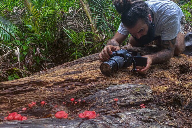 2-Hour Mushroom Photography Activity in Cairns Botanic Gardens - Key Points