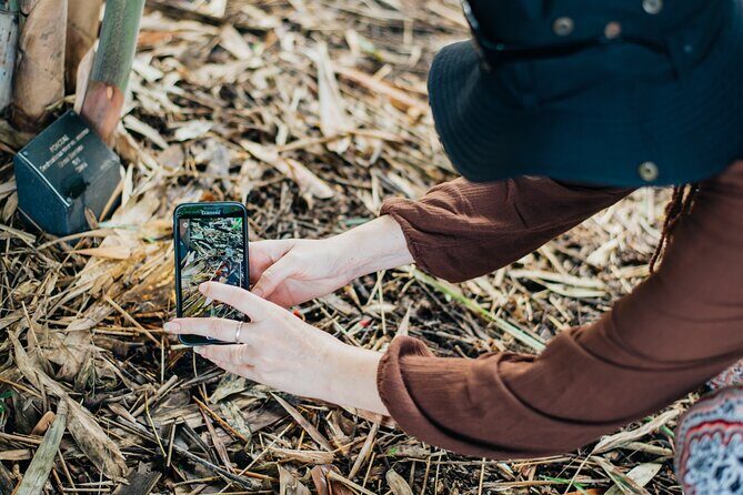 2-Hour Mushroom Photography Activity in Cairns Botanic Gardens - Final Thoughts