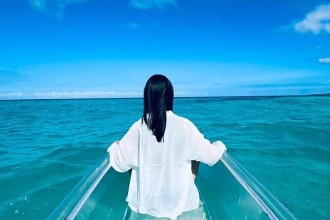 2-Hour or 4-Hour Self Guided Clear Kayak Tours in Oahu - An Honest Look at the Experience