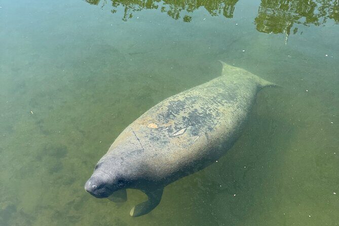 2 Hour Private Day Charter In Islamorada - FAQ