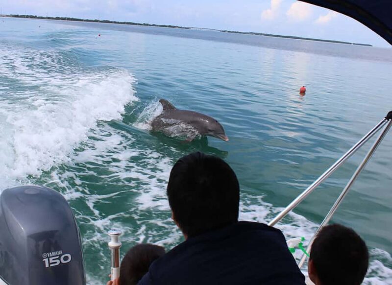 2 Hour Private Eco-Tour - Discovering the Natural Beauty of the Florida Keys