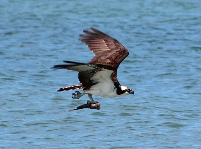 2 Hour Private Eco-Tour - The Experience and Its Value