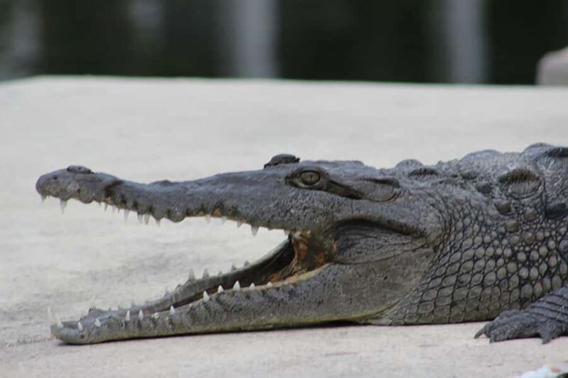 2 Hour Private Eco-Tour - Practical Tips for Your Trip