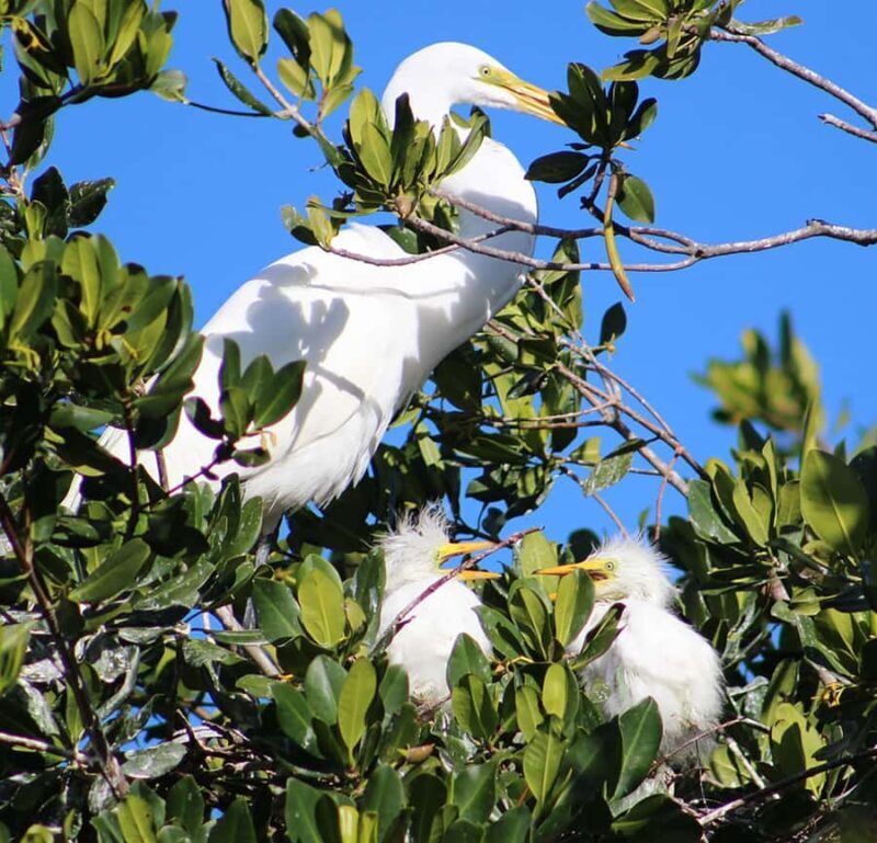 2 Hour Private Eco-Tour - FAQ