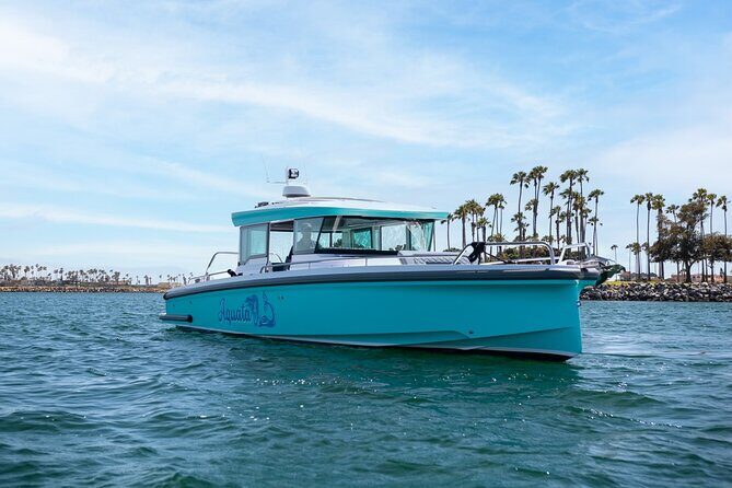 2 Hour Private Luxury Speedboat in Mission Bay - A Complete Look at the 2 Hour Private Luxury Speedboat in Mission Bay